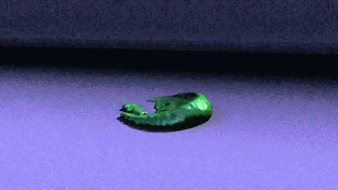 houdini fluid gas elasticity solver