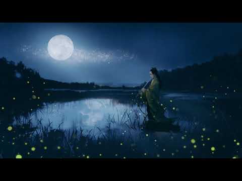 CRITTY -  Meeting Fireflies 遇萤