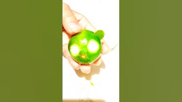 Cách cắt trái cây ngộ nghĩnh thành con gấu cực kỳ đơn giản.#shortyoutube.#beats