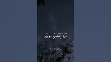 تلاوة خاشعه🤍من الشيخ ماهر المعيقلي🤍 #المصحف