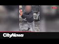 NCCM Posts Video Of An Alleged Montreal Muslim Truck Driver Attacked NCCM Posts Video Of An Alleged Montreal Muslim Truck Driver Attacked