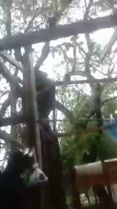 Typhoon Emong aftermath 2 #typhoon #bagyo #tropicalclimate #shorts #shortvideo #shortsfeed