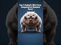 Chihuahua vs Bulldog vs Tasmanian Devil | Shocking Bite Force  #biteforce #shortsfeed #3danimation