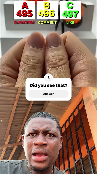 Did you see that? #funny #memes #duet #trending