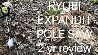 Ryobi Expand-It Pole Saw