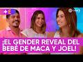 Macarena y Joel hacen los preparativos para el "gender reveal" de su bebé | Más Espectáculos (HOY)
