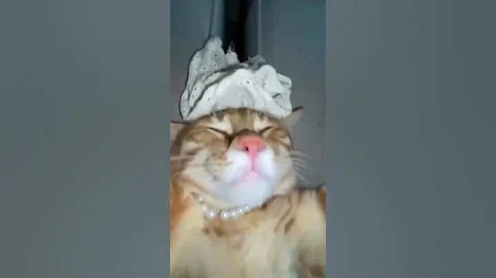 Watch the video about 4