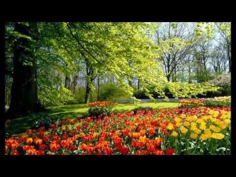 Lasha Glonti - გაზაფხული