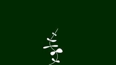 growing vine in after effects