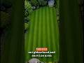 Denton Lawn Care Get More Lawn Maintenance Leads Without Buying More Ads | Portside Marketing