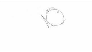 How to Draw a Cute Fish