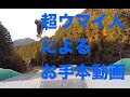 東海キングスに来た超ウマイ人によるお手本動画