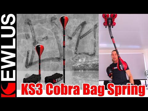 DIY Cobra Bag demo (KS2 Spring version) #homefitness #cobrabag