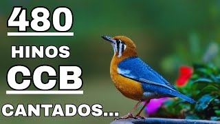 Download Lagu 480 HINOS  CANTADOS CCB - 09/02/2026 -  1,2,3,4,5,6,7,8,9,10,11,12,13,14,15,16,17,18,19.20,21,22,23 MP3