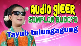 Pambuko gending tayub gleer somplor budoyo Tulungagung