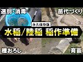【永久保存版】田植え前にやるべき作業を完全解説‼