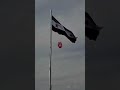 تحرير سوريا 2024 12 8 تاريخ لن ينساه كل سوري