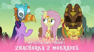 My Little Pony - Sezon 7 Odcinek 20 - Znachorka z mokradeł