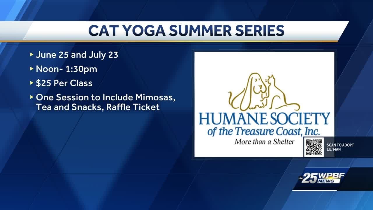 Humane Society of the Treasure coast YouTube