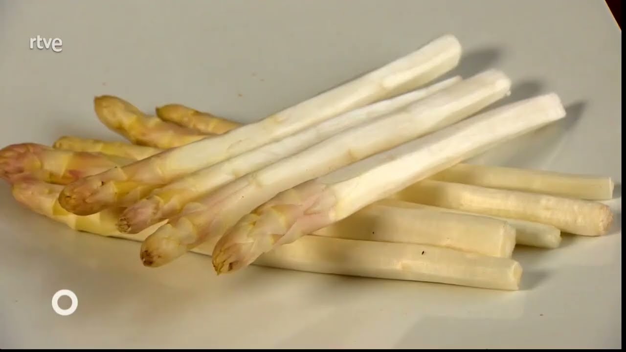 Reportaje sobre AZAGRA (NAVARRA) en el programa Agrosfera de RTVE La 2 emitido el 28/06/2025.