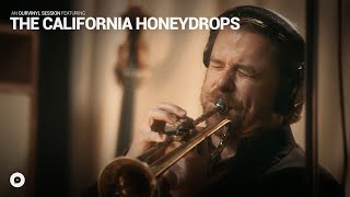 The California Honeydrops - All Day, All Night | OurVinyl Sessions