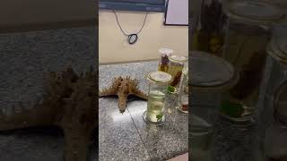 #biologylab #common student query : Are these all real specimens?