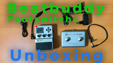 Singular Sound Beat Buddy - Footswitch+
