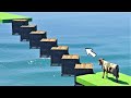 GTA 5 - Cow Climbing Boxes Stairs