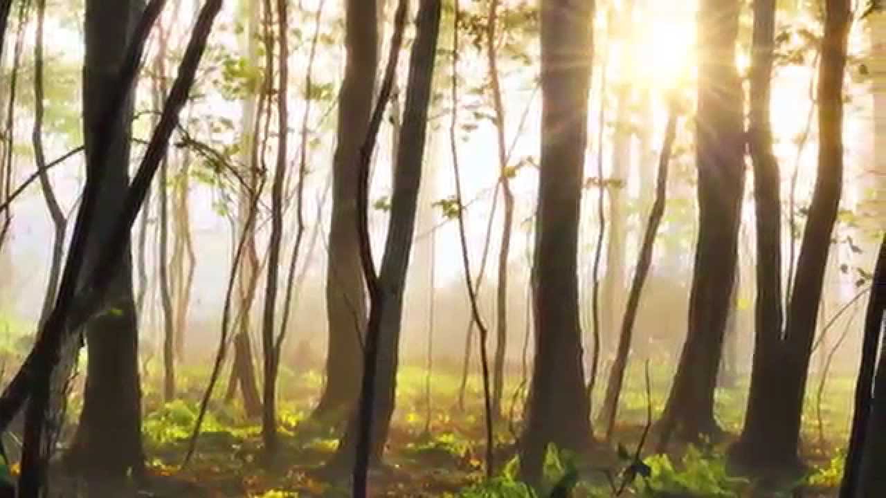 Destination Spotlight Barrier Island Station Kitty Hawk YouTube