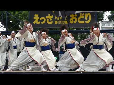 鴉　（2016ODAWARAえっさホイおどり・コンテスト・”鴉No.06 燈歌"　）