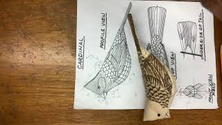Part 28b : Detailing the breast feathers