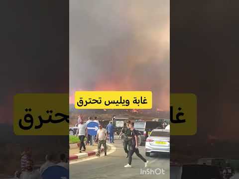 اكسبلور التغطيه  الجيلي  نفيسه  العريفي تيك توك البخل