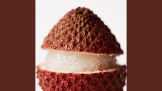 Terang Magis Lambat Angin