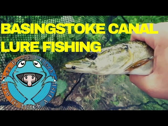basingstoke canal lure fishing Lure Fishing on the Basingstoke Canal for pike and perch