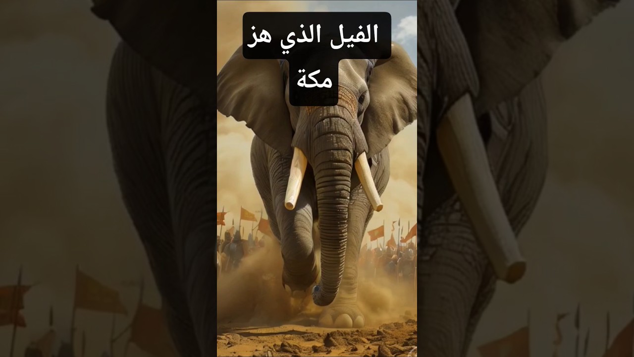جيش الفيل الذي أسقطه طير الأبابيل!#أصحاب_الفيل #أبرهة #قصص_القرآن #جيش_الفيل # #معجزات_الله #shorts