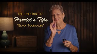 Medium Harriet Shager Tips &quot;Black Tourmaline&quot; | The Undeparted