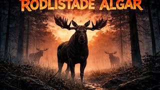 Rödlistade älgar / Om det finns några kvar
