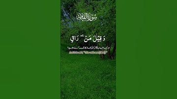 ما تيسرى من سورة القيامة بصوت رائع
