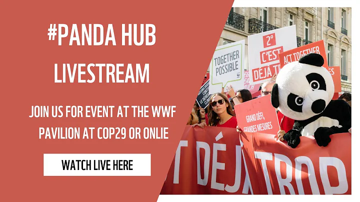 Empowering Youth for Sustainable Solutions: Leadership in Nature Conservation and Green Innovation