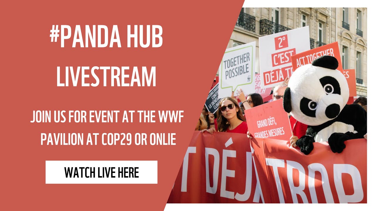 Empowering Youth for Sustainable Solutions: Leadership in Nature Conservation and Green Innovation