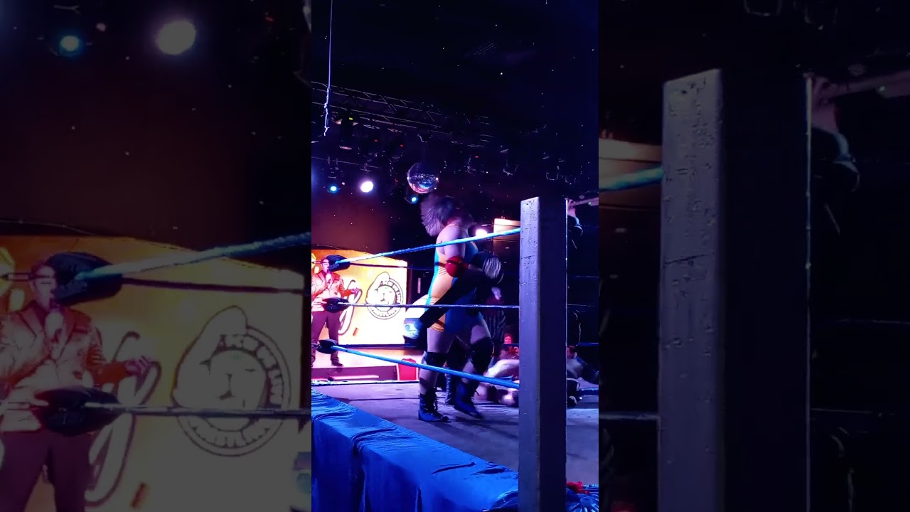 Pcw uk anniversary megashow 2024 