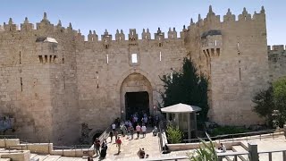 جولة من باب العامود الى المسجد الأقصى المبارك A tour from Damascus Gate to Al-Aqsa Mosque