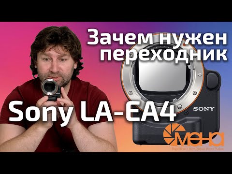 Video: Sony A Luat în Considerare Cățelele Analogice Vita