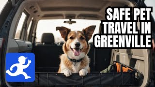 Find Safe and Comfortable Pet Transportation in Greenville SC