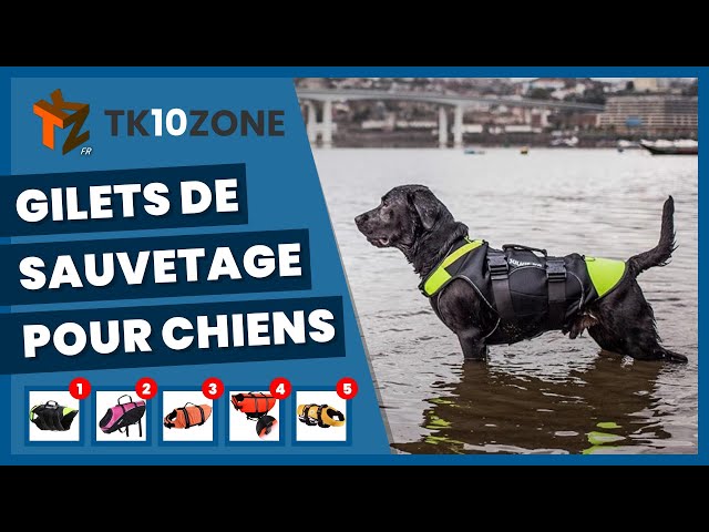 harnais gilet de sauvetage chien