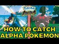 How to Catch Alpha Pokemon Guide in Pokemon Legends Arceus