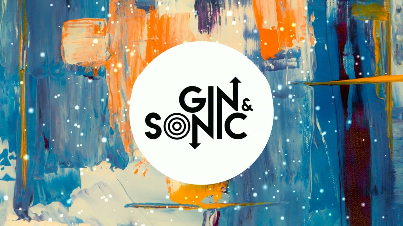 Avicii - Levels (Gin and Sonic's Tech House Remix)