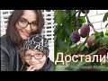 Решила всех блокировать! ❎Сад в июле🍒 Осень в середине лета. 🌧️ Казань 2019.