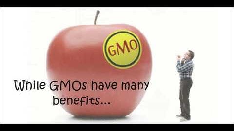 GMO Video - ISB Lab