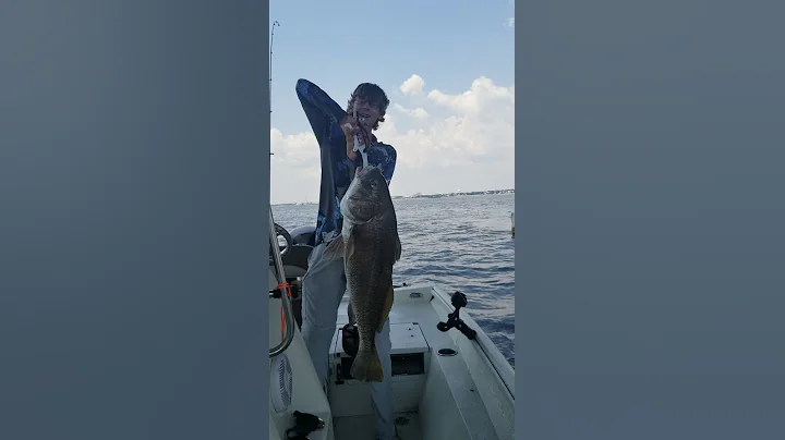 my son catches his first big black drum